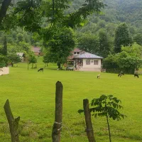 ون وانا دربستی و گردشگری|خدمات حمل و نقل|کرمان, |دیوار