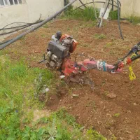 خدمات باغبانی