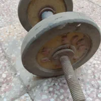 دمبل برای باشگاه
