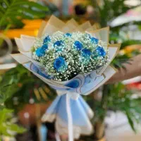 دسته گل رز هلندی، فروش ویژه، تخفیفی|گل و گیاه طبیعی|شیراز, گود عربان|دیوار