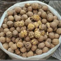 گردو تازه ۳۵۰هزار تومان