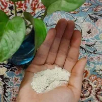 طبیعی صورتتو تپل کن(هدیه هم بگیر)