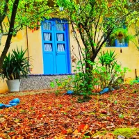 سوییت های سنتی امن و تمیز