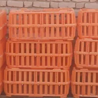 پرکن و صبد حمل مرغ زنده