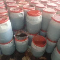 سیر ترشی|خوردنی و آشامیدنی|قم, کلهری|دیوار