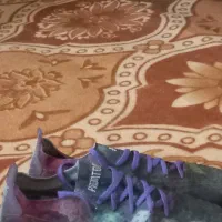 استوک پردیتور