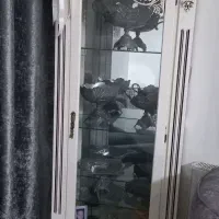 ویترین چوبی