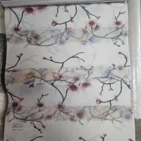 انواع پرده ، زبرا سلطنتی