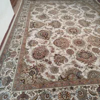 فرش|فرش|نقده, |دیوار