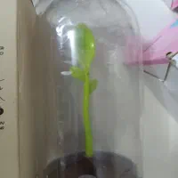 لوازم آشپزخانه آکبند نو و ارزان|ظروف سرو و پذیرایی|تهران, وحیدیه|دیوار