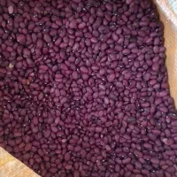 توزیع مواد غذایی