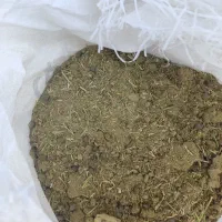 گوسفندی