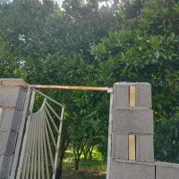فروش ۴۲۱ متر زمین مسکونی