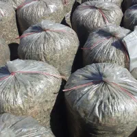 یونجه درجه یک و سیلو|عمدهفروشی|دشتابی, |دیوار