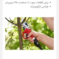 هرس درختان میو ه وپسته|خدمات باغبانی و درختکاری|گناباد, |دیوار