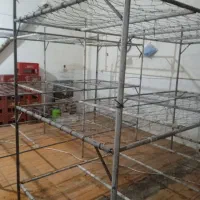 قفسه مناسب پرورش قارچ