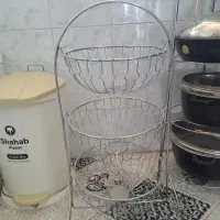 جاسیب زمینی