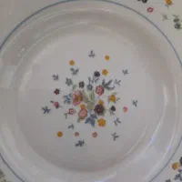 ارکوپال