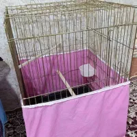 قفس بزرگ پرنده