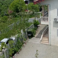 ویلا استخردار چالوس|اجارهٔ کوتاهمدت ویلا و باغ|چالوس, |دیوار