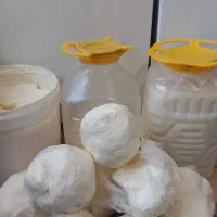 کره گوسفند