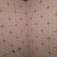استاکاشی کار