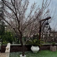 باغبانی و سمپاشی