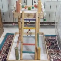 شهربازی پرندگان بزرگ و مناسب