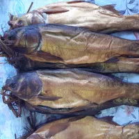 ماهی دودی بیگت|ماهی|بندر انزلی, سوسر|دیوار