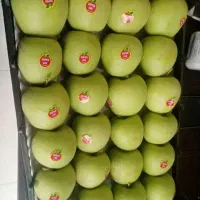 نیروی کار برای مغازه میوه فروشی|استخدام خدمات فروشگاه و رستوران|جم, |دیوار