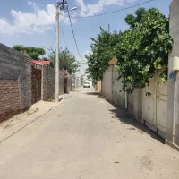 چهار دیواری داخل بافت مخصوص باغچه