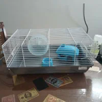 قفس همستر خارجی کم یاب|لوازم جانبی حیوانات|تهران, سازمان برنامه جنوبی|دیوار