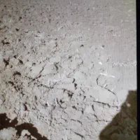 اجاره زمین کشاورزی|اجارهٔ دفتر صنعتی، کشاورزی، تجاری|میاندوآب, |دیوار