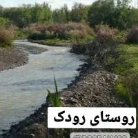 فروش باغ|فروش دفتر صنعتی، کشاورزی، تجاری|بوئین زهرا, |دیوار