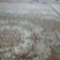 کاردرمنزل بسته بندی