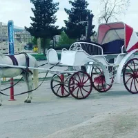 اساس کالسکه درشکه|اسب و تجهیزات اسب‌سواری|ری, بازار آهن|دیوار