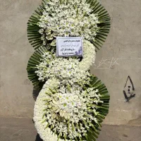 تاج گل دسته گل باکس گل مناسب همه مراسم ختمی جشنی|گل و گیاه طبیعی|تهران, شهرک محلاتی|دیوار