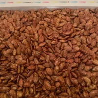 تخمه ژاپنی اجیل سرای تبریز|خوردنی و آشامیدنی|تهران, شمس‌آباد|دیوار