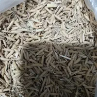 جو صدری  دمسیاه