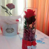 دوهدیه درحد نو