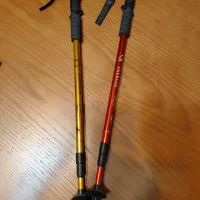 عصای کوهنوردی. Energia Antishock یک جفت