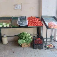 مغازه ۳۴ متری میوه فروشی