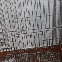 قفس کاسکو یا طوطی|لوازم جانبی حیوانات|اهواز, بیست متری شهرداری|دیوار