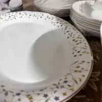 ظروف ارکوپال‌برند پارس اوپال|ظروف سرو و پذیرایی|پاکدشت, پاکدشت (مامازند)|دیوار