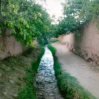 سرایدار گلخانه