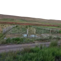 فروش باغ در اهر