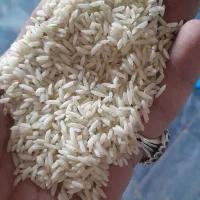 برنج دورود.برنج. سالم.برنج نیمدانه