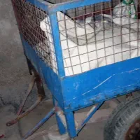 بودی سه چرخه