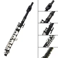 فلوت پیکولو SLADE|سازهای بادی|تهران, تهراننو|دیوار