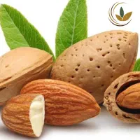 بادام کاغذی درختی تازه
